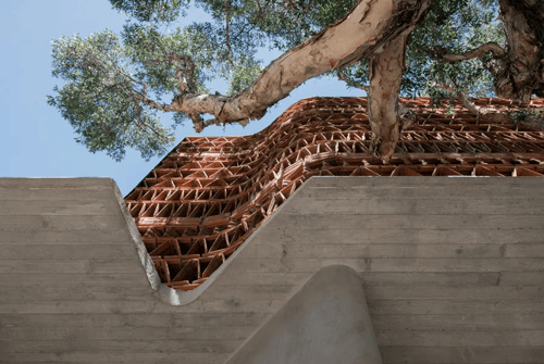 Biophilic design with terracotta cladding and integrated tree.