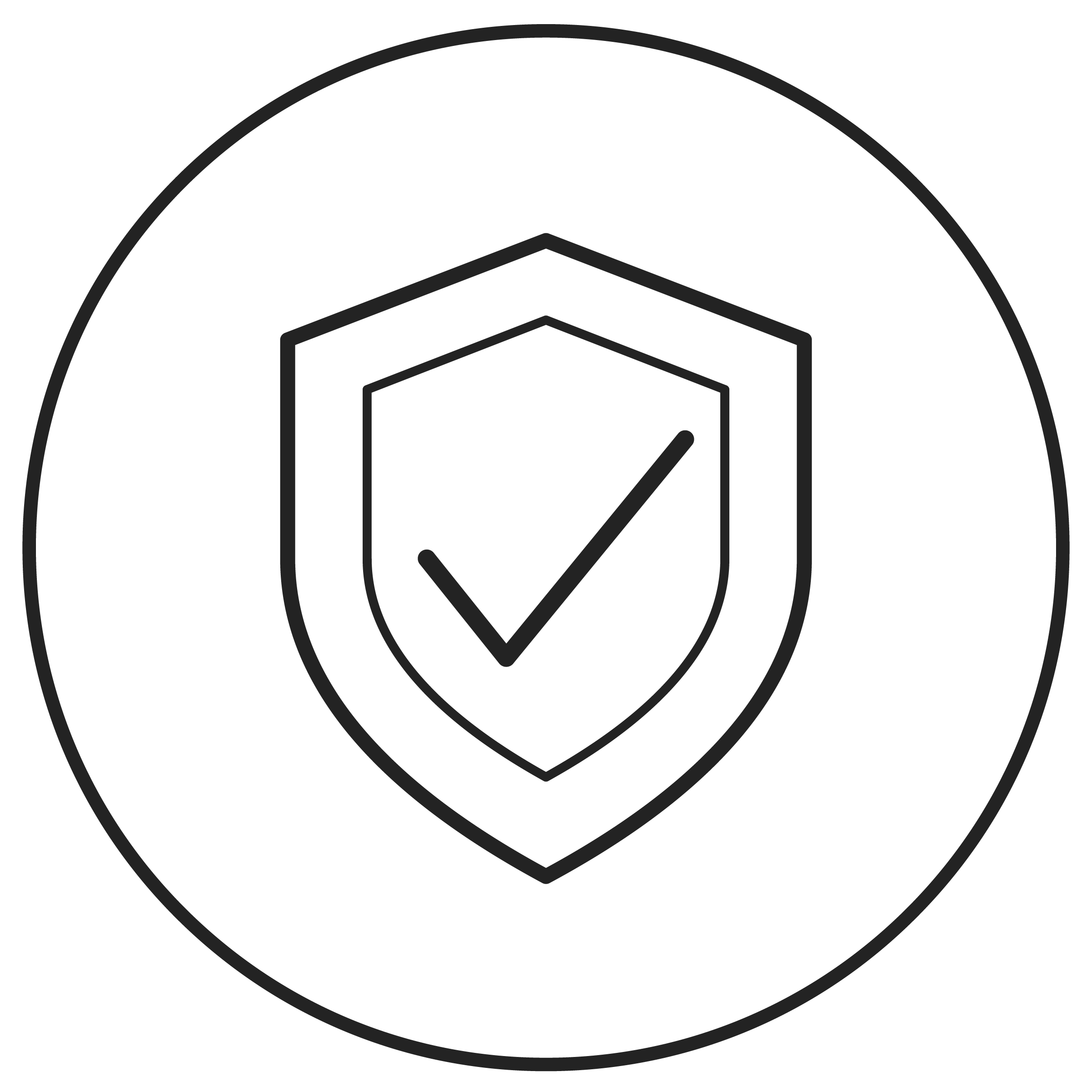 USP Icon 4